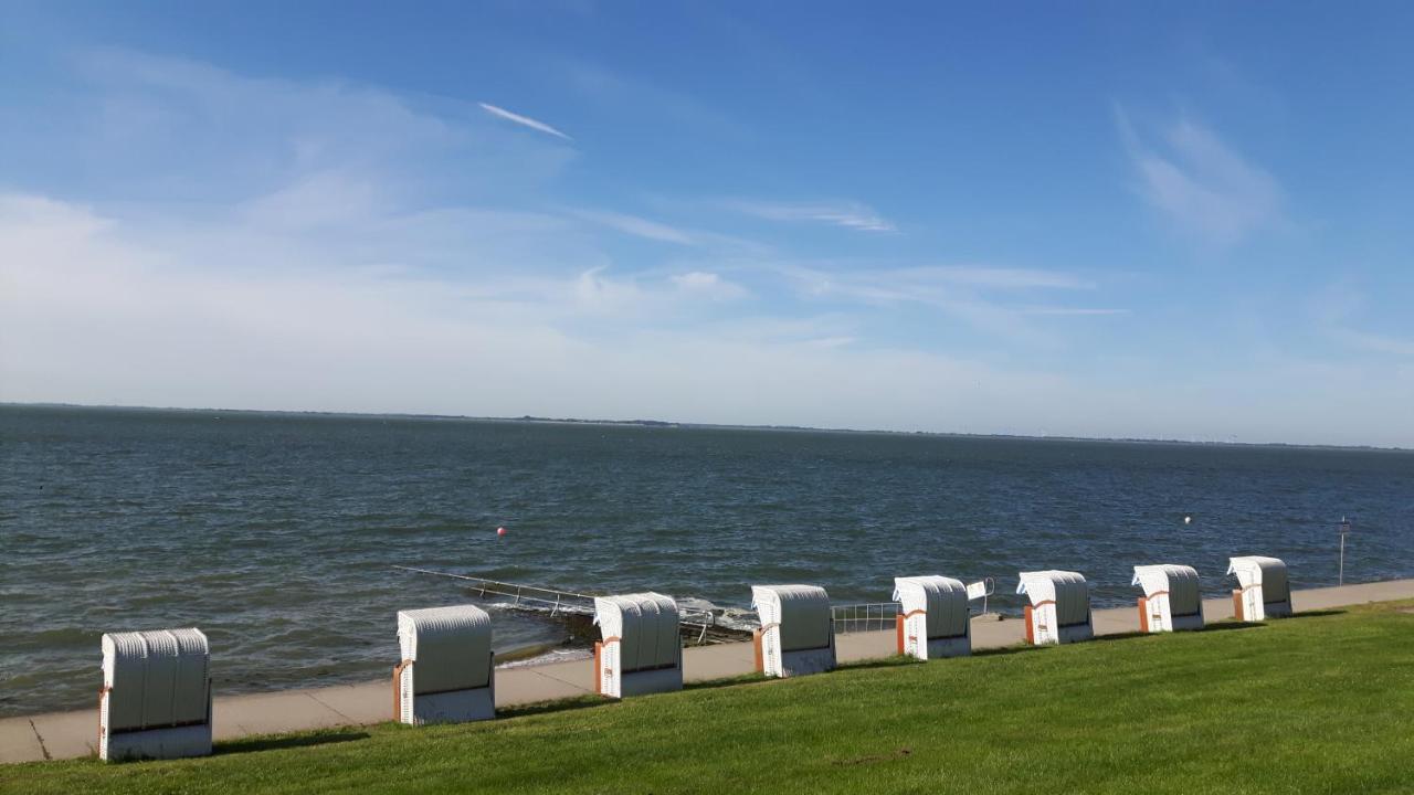 Seenelke Wilhelmshaven